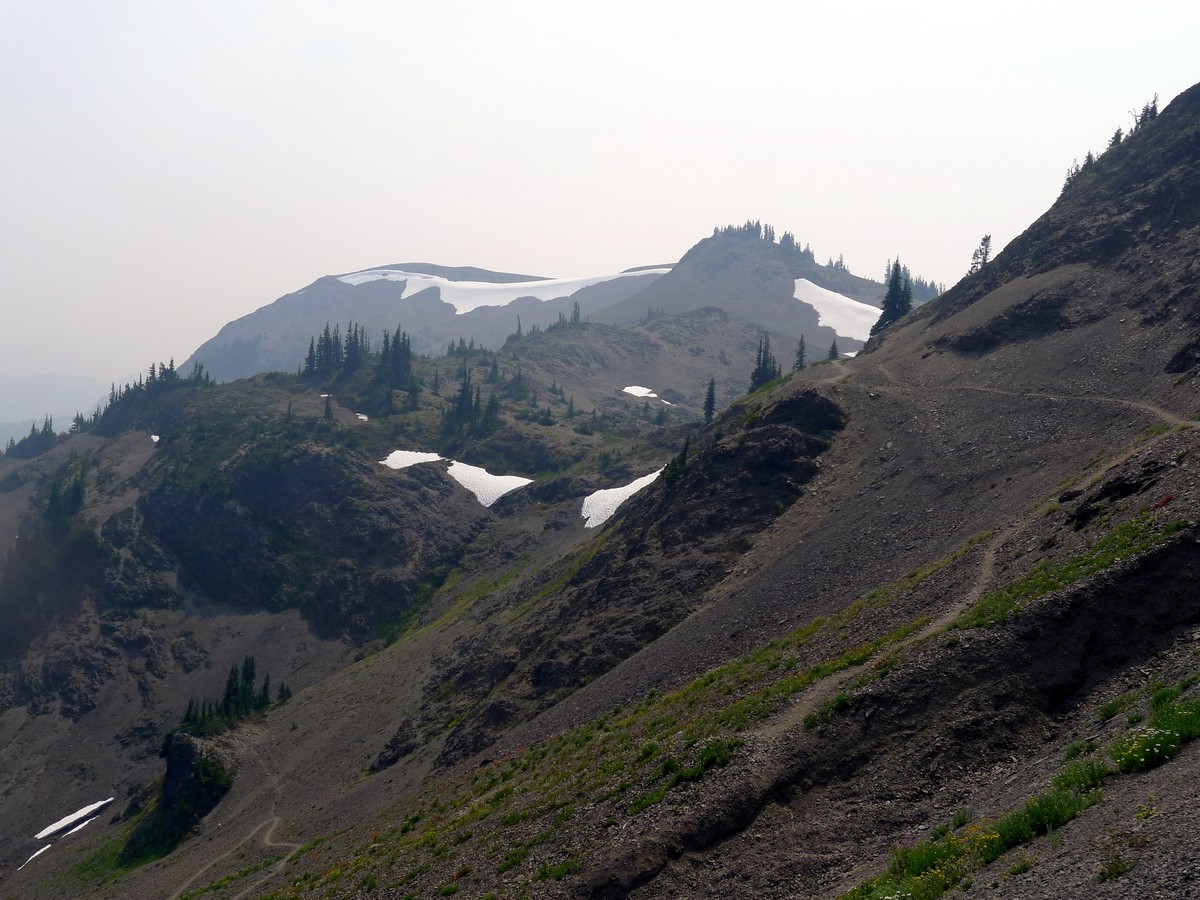 The trail of the Obstruction Point Hike in Olympic National Park, Washington