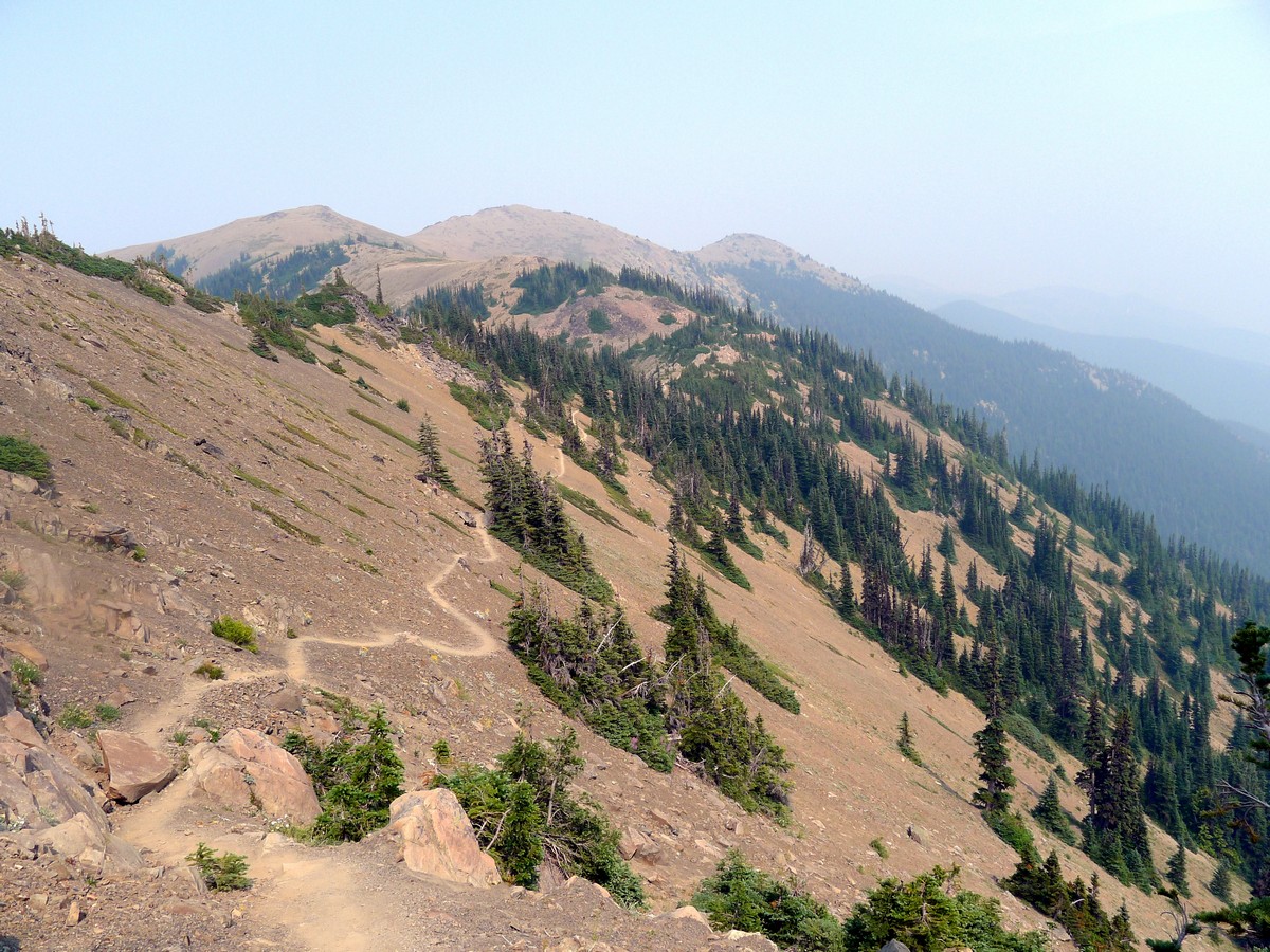 Beautiful descent of the Obstruction Point Hike in Olympic National Park, Washington