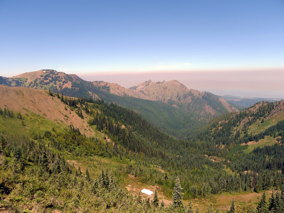 Looking north from the Klahhane Ridge Hike in Olympic National Park