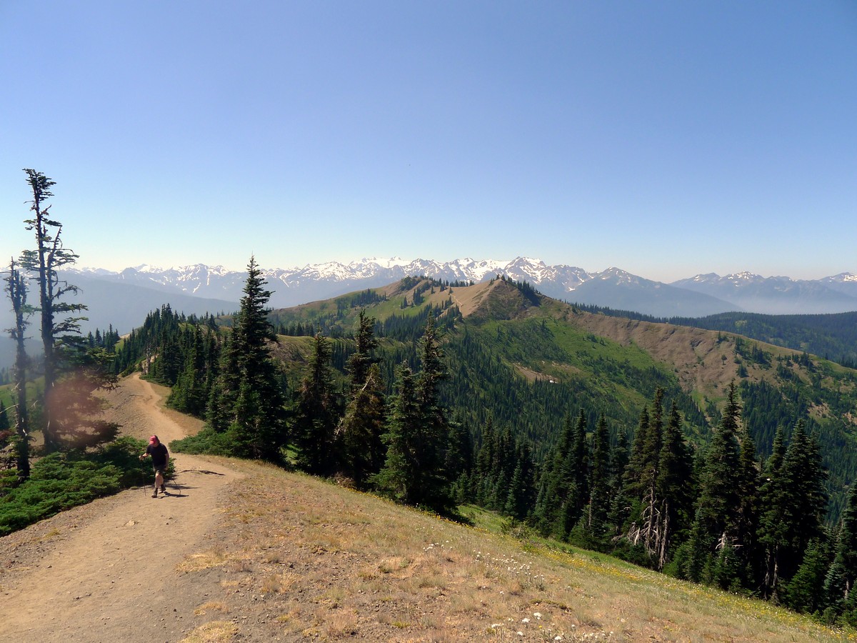 The ridge view from the Klahhane Ridge Hike in Olympic National Park