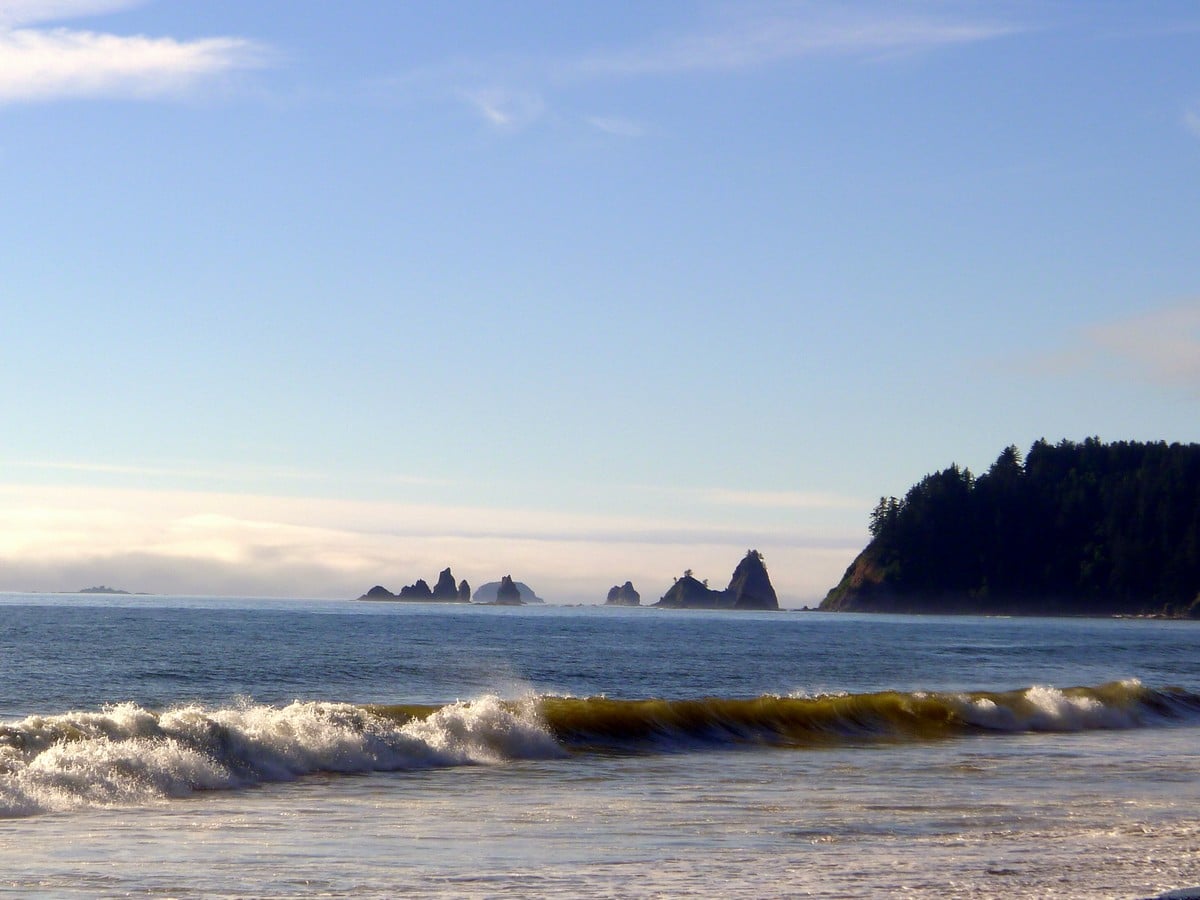 Looking north along Rialto Beach on the Hole in the Wall Hike in Olympic National Park