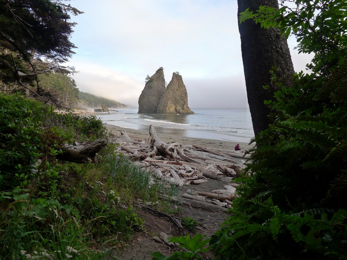 Looking onto the beach from the beginning of the trail up to the ridge on the Hole in the Wall Hike in Olympic National Park