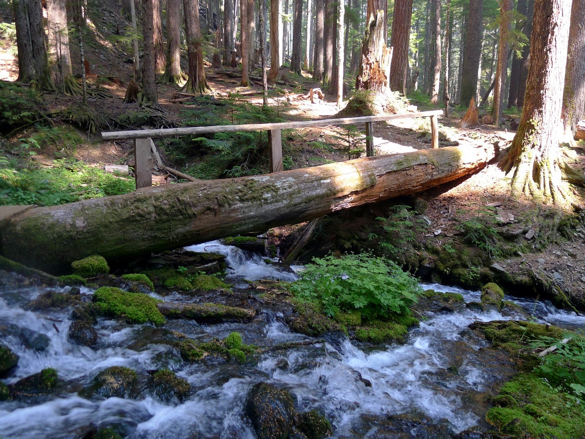 Bridge across the trail on the High Divide Loop Hike in Olympic National Park