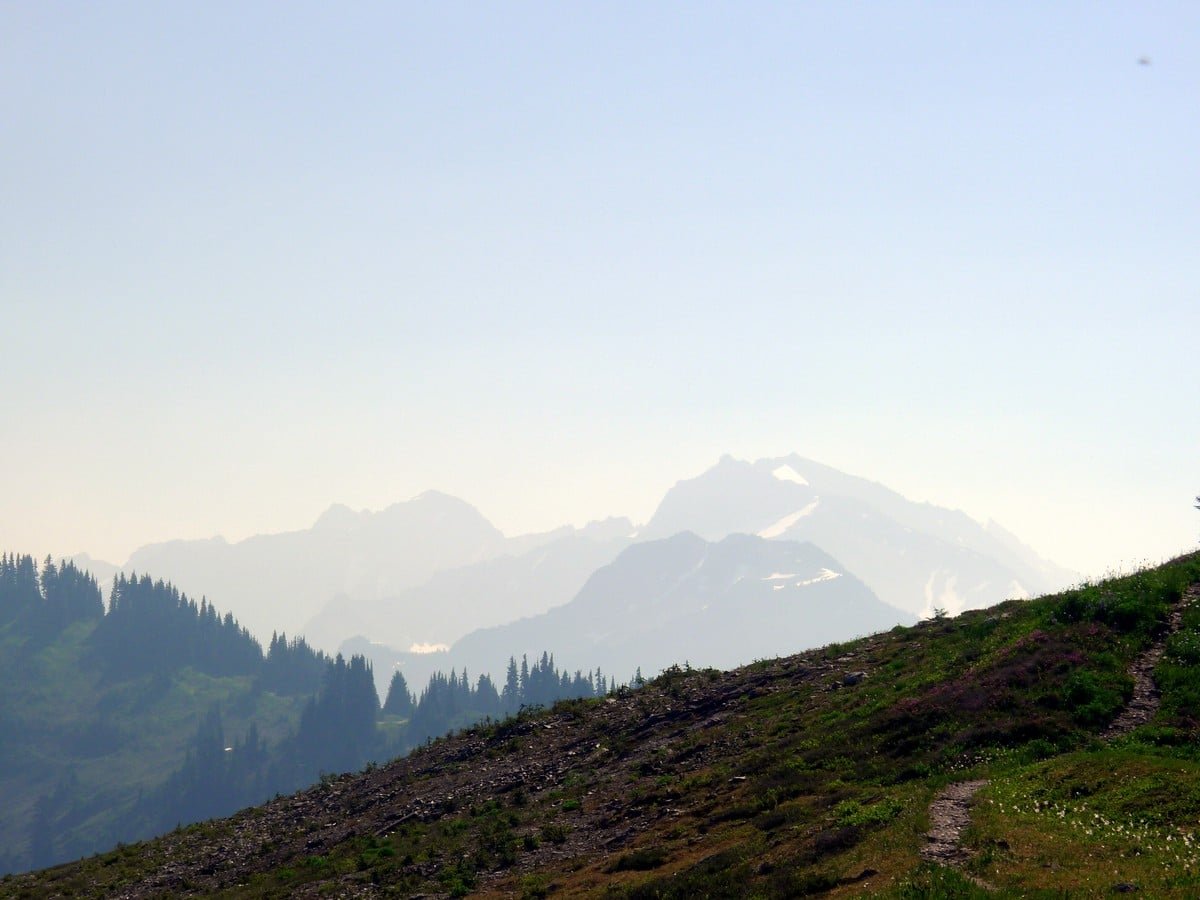 One of the first views from the High Divide Loop Hike in Olympic National Park