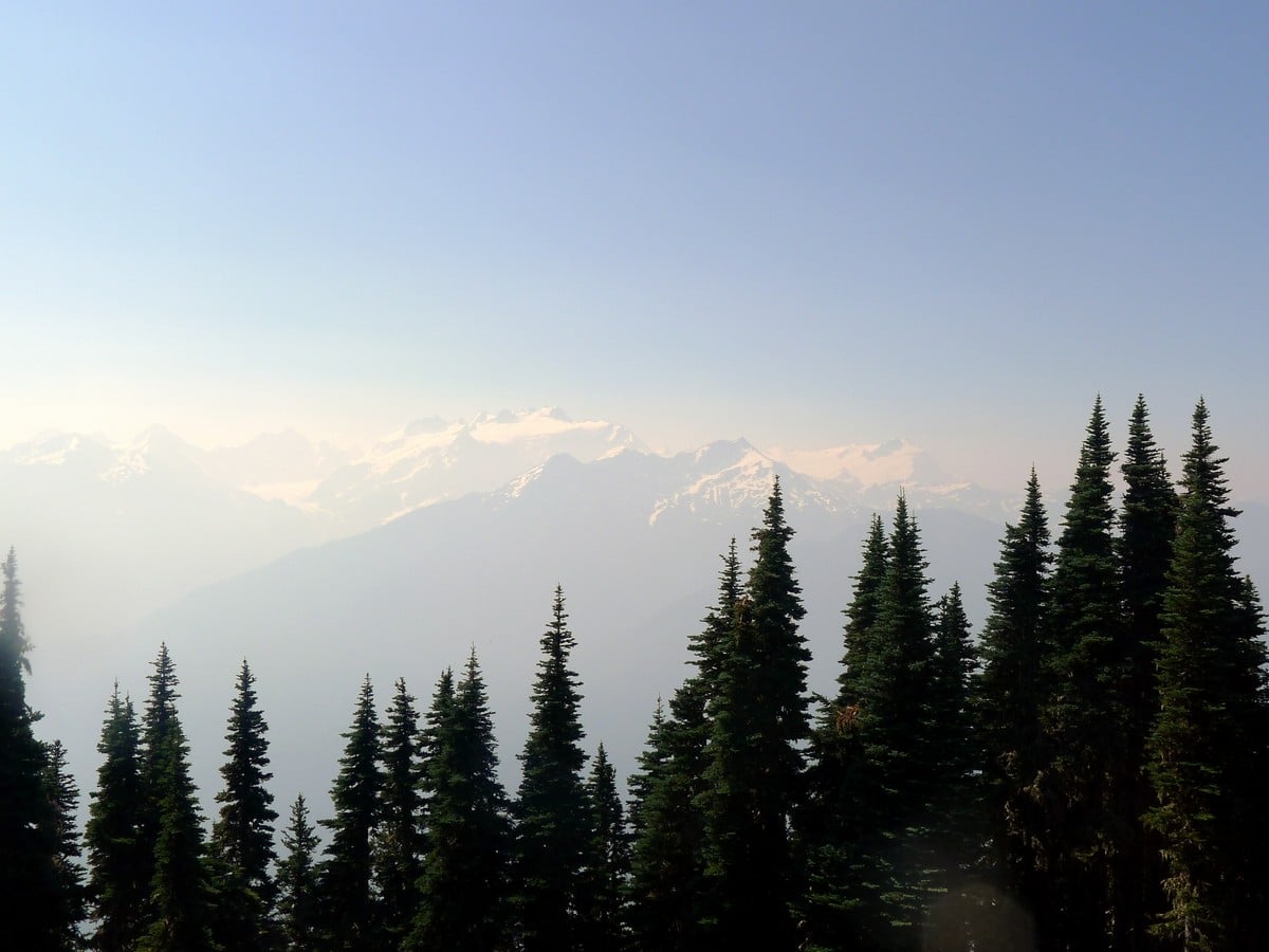 Mount Olympus from the High Divide Loop Hike in Olympic National Park