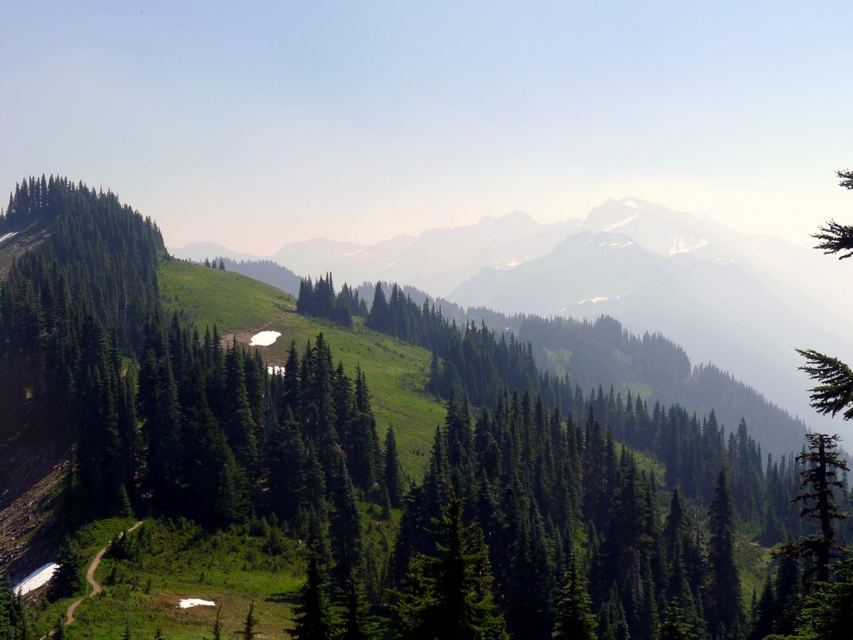 Rugged ridge on the High Divide Loop Hike in Olympic National Park