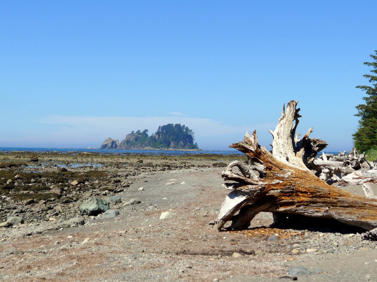 Driftwood and island on the Ozette Triangle Hike in Olympic National Park