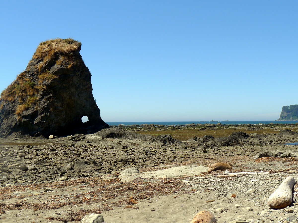 A hole in a rock on the Ozette Triangle Hike in Olympic National Park