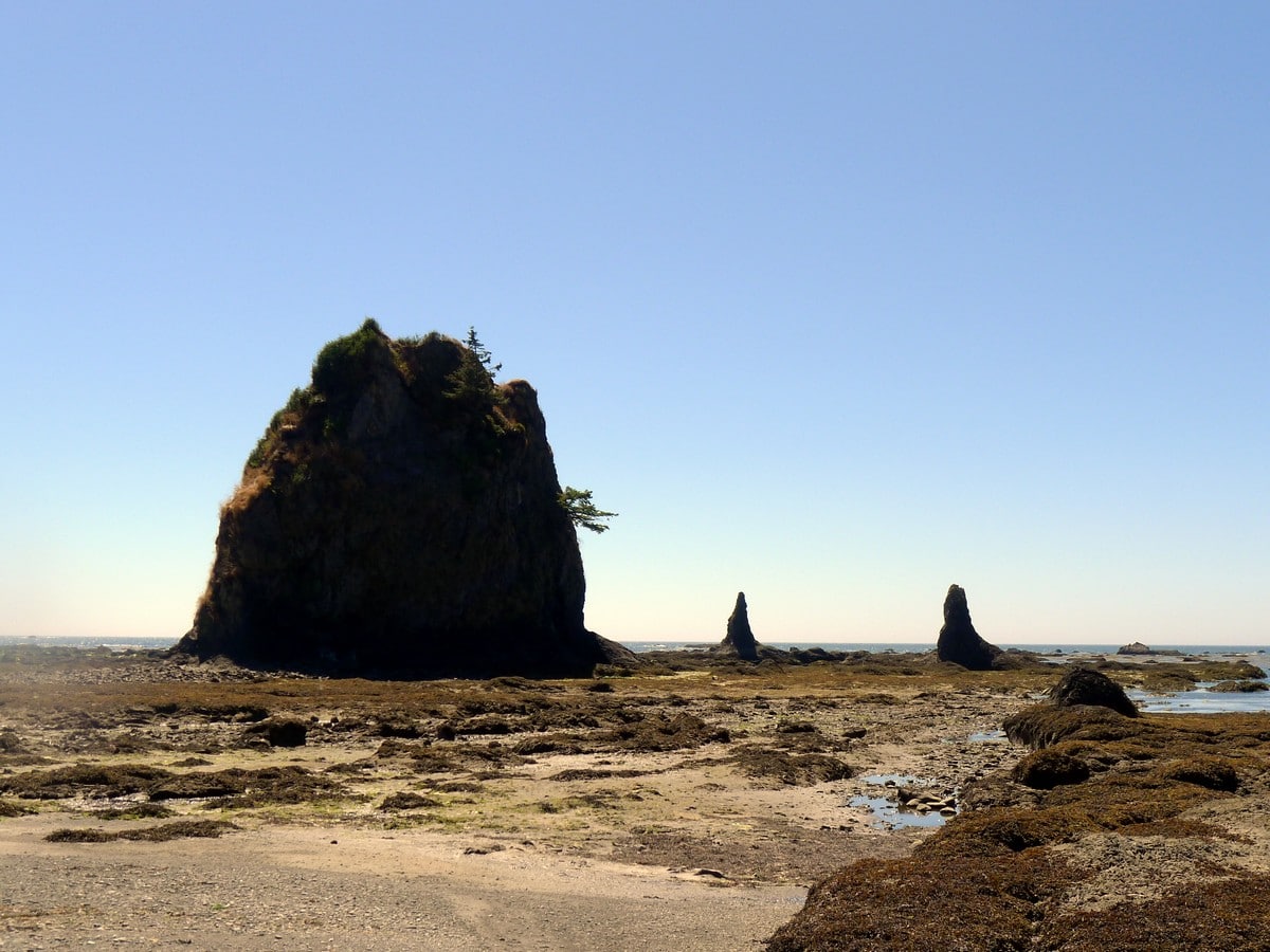 Rock formations on the beach on the Ozette Triangle Hike in Olympic National Park