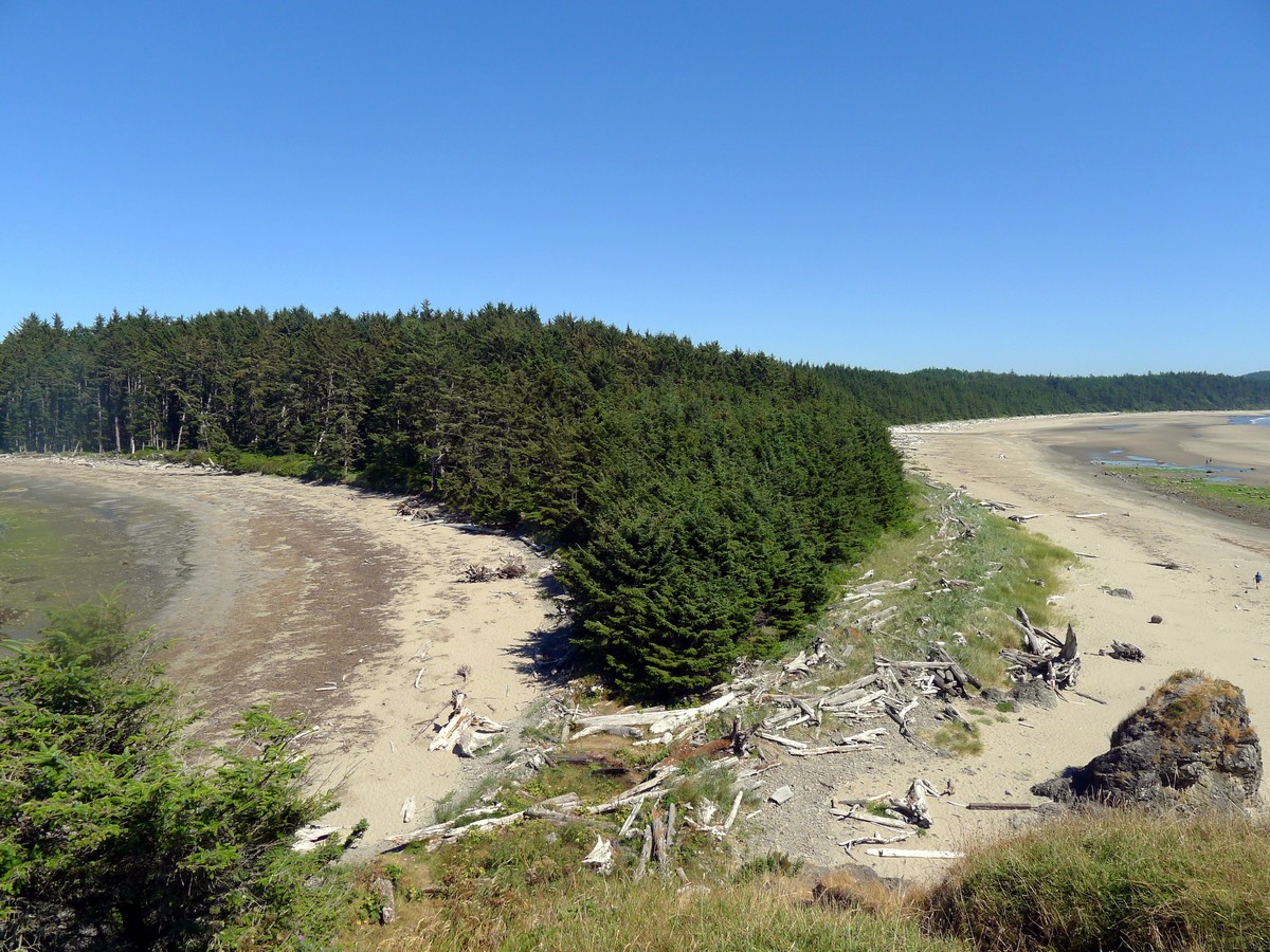 Looking back from the hill at the south end of the beach on the Ozette Triangle Hike in Olympic National Park