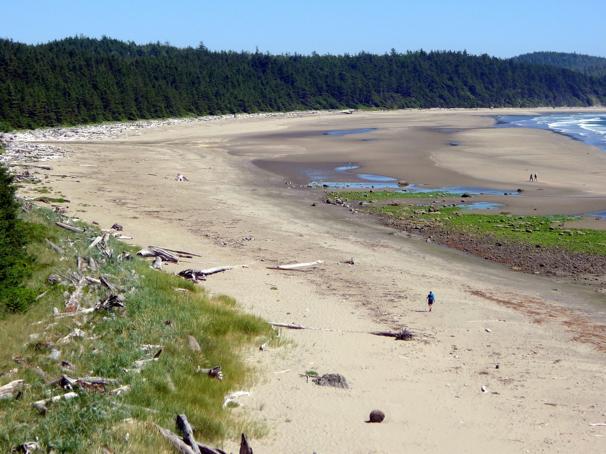 Large sandy expanses on the Ozette Triangle Hike in Olympic National Park