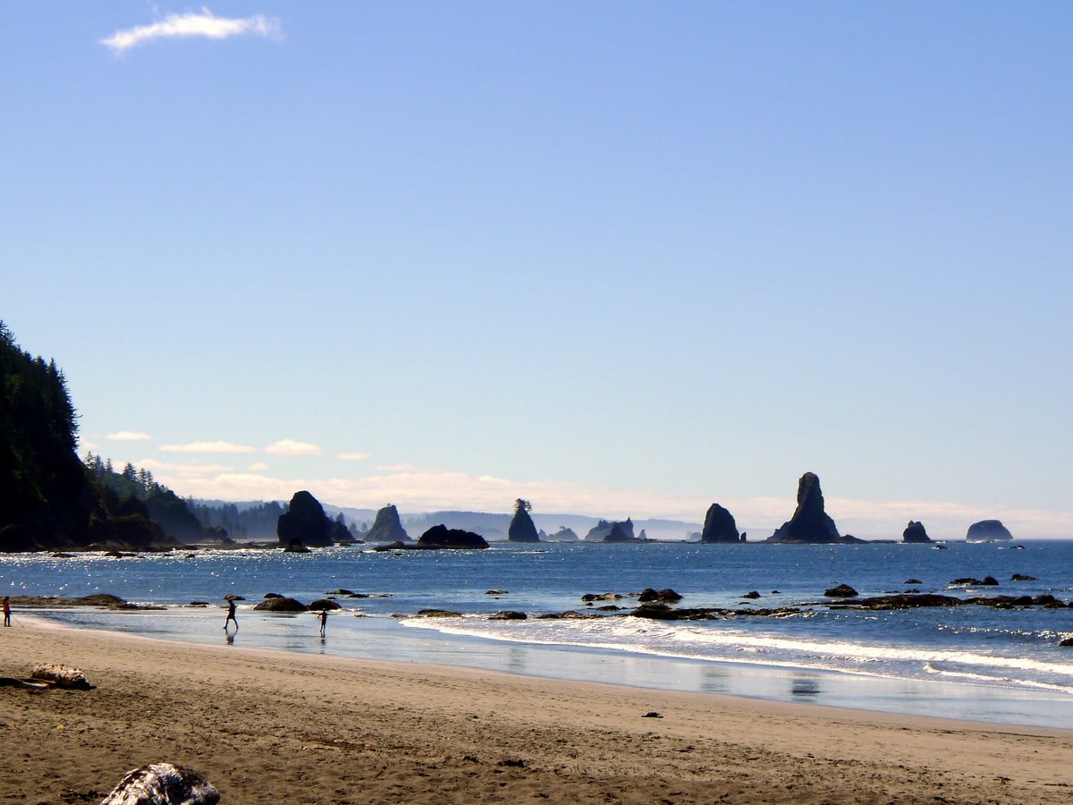 Looking south along the beach on the Third Beach Hike in Olympic National Park, Washington