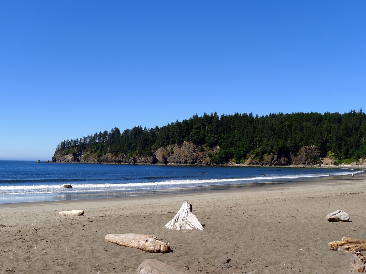 Third Beach trail in Olympic National Park, Washington takes you to the Pacific Beach