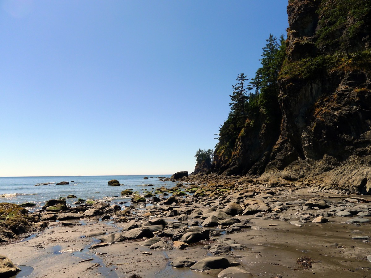 The marshy north end of the beach on the Third Beach trail in Olympic National Park, Washington