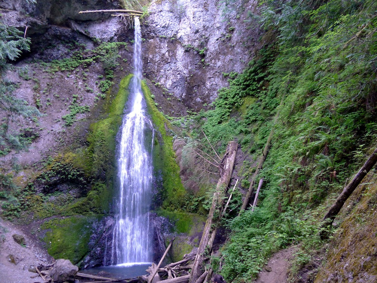 Marymere Falls trail in Olympic National Park, Washington is a beautiful way to spend a day with family