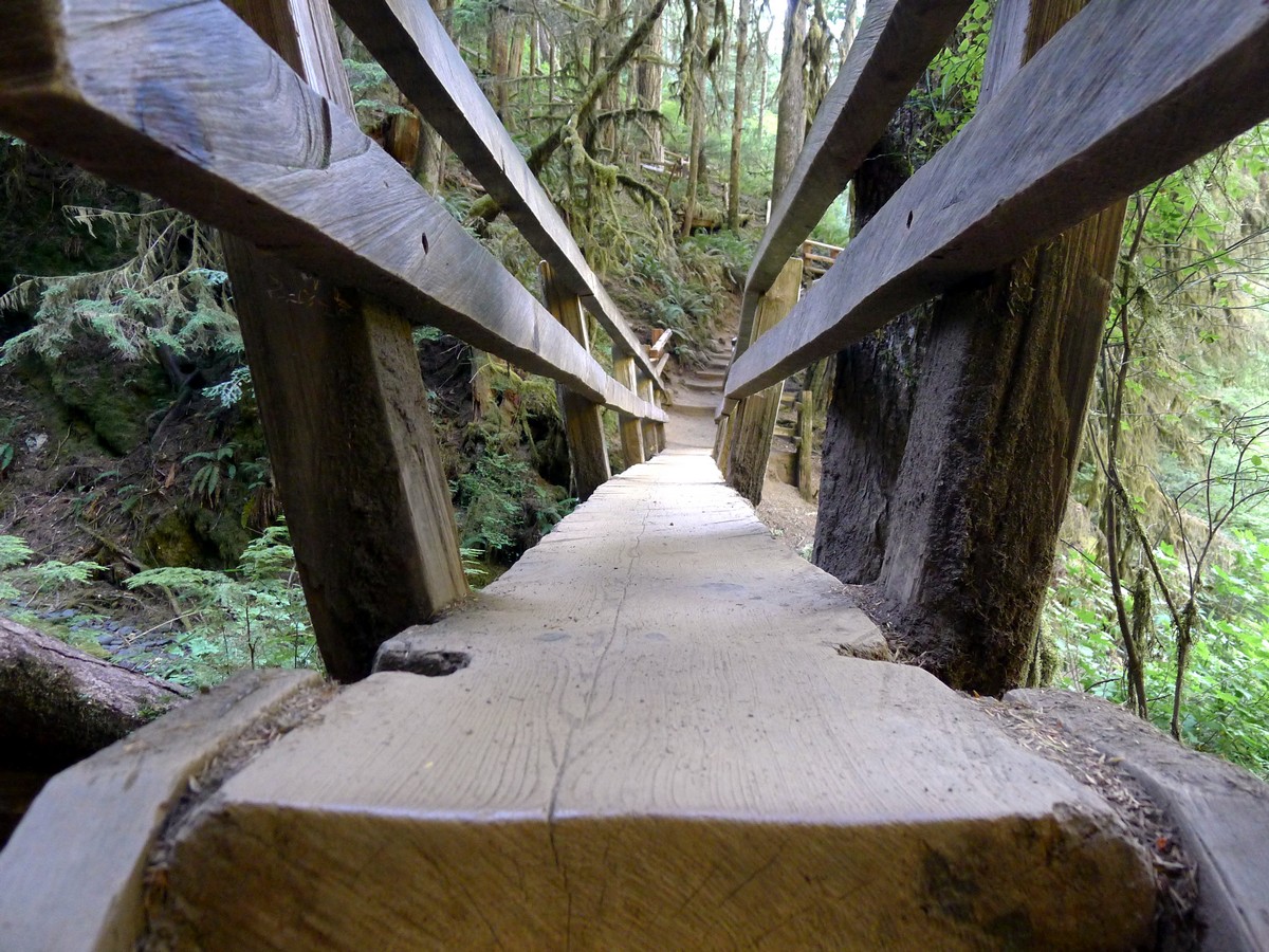 Cool wooden bridge on the Marymere Falls trail in Olympic National Park, Washington