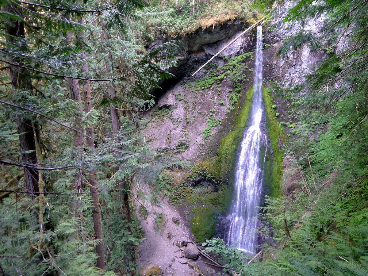 View from the lookout on the Marymere Falls Hike in Olympic National Park, Washington