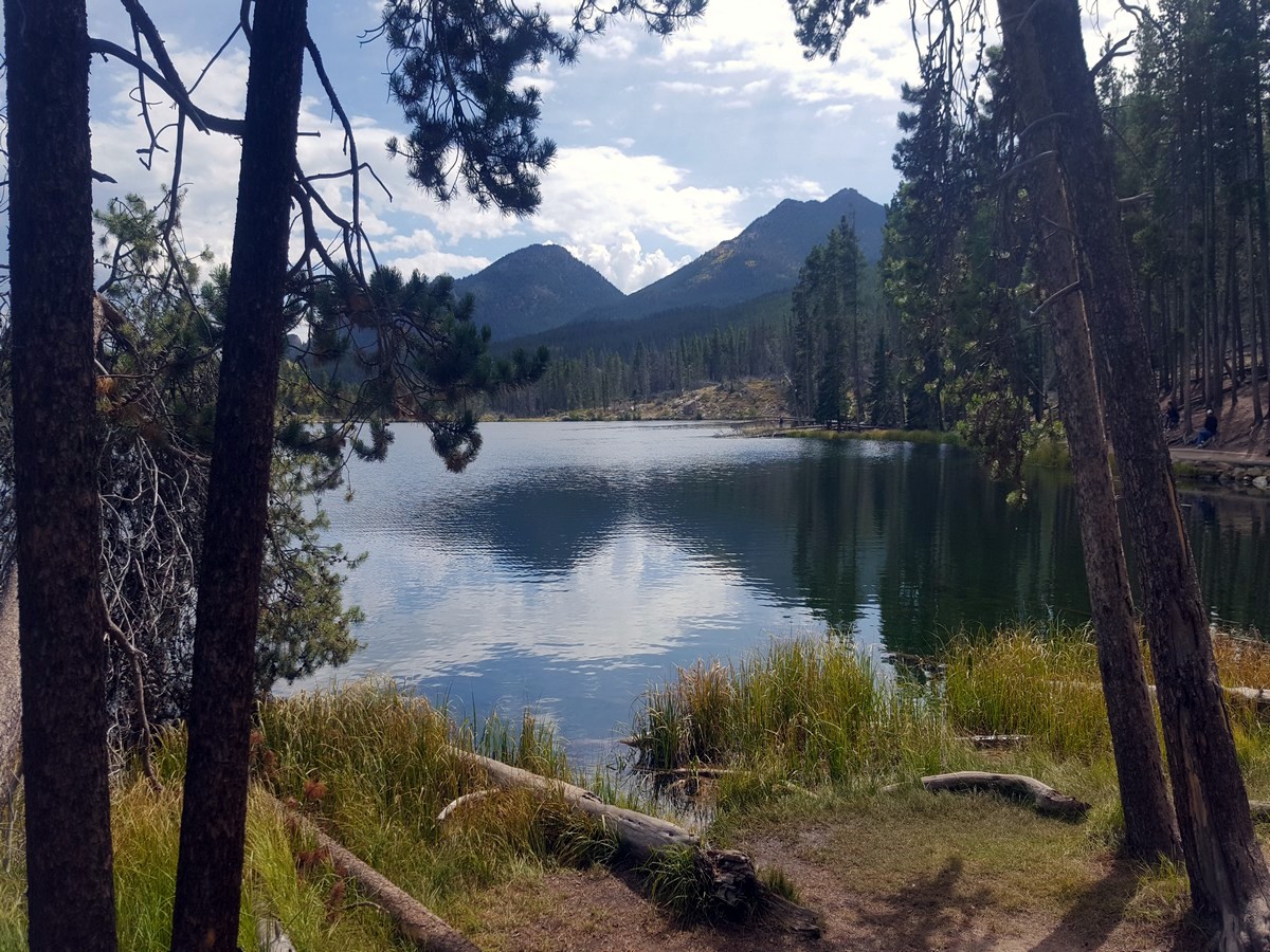 View through the trees on the Sprague Lake Hike in Rocky Mountains National Park, Colorado