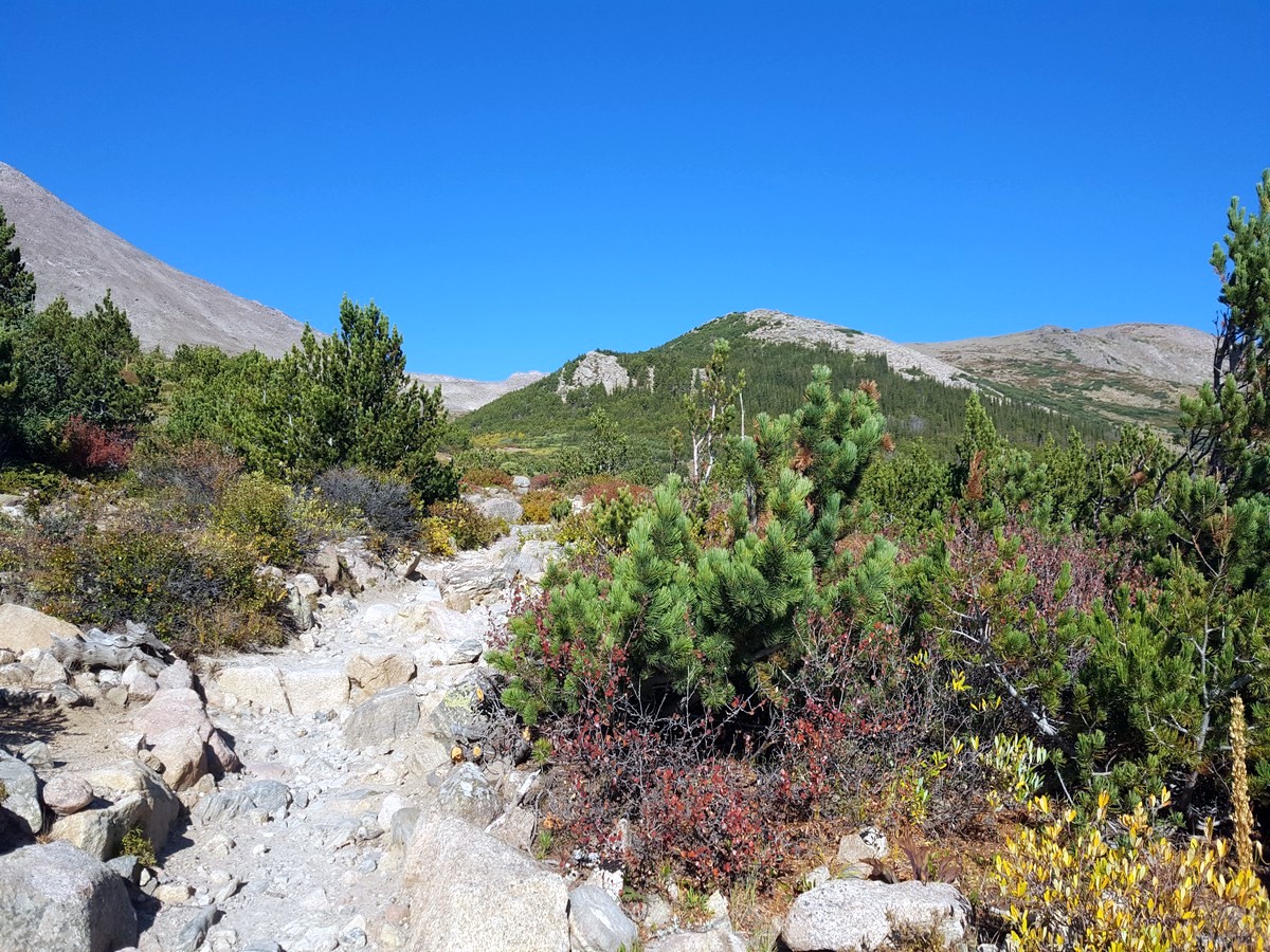 Alpine tundra and Battle Mountain Peak from the Chasm Lake Hike in Rocky Mountains National Park, Colorado