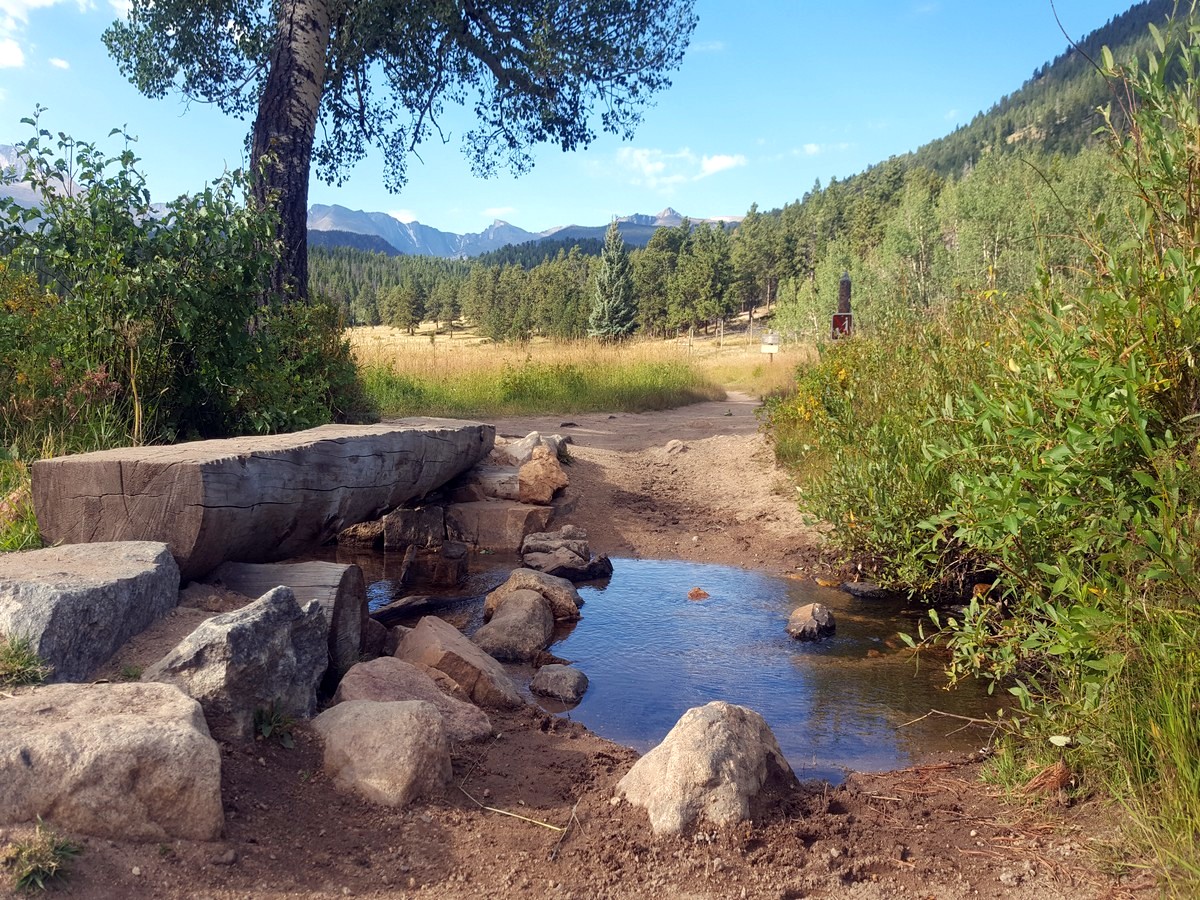 The beginning of the trail on the Beaver Meadows Loop Hike in Rocky Mountain National Park, Colorado