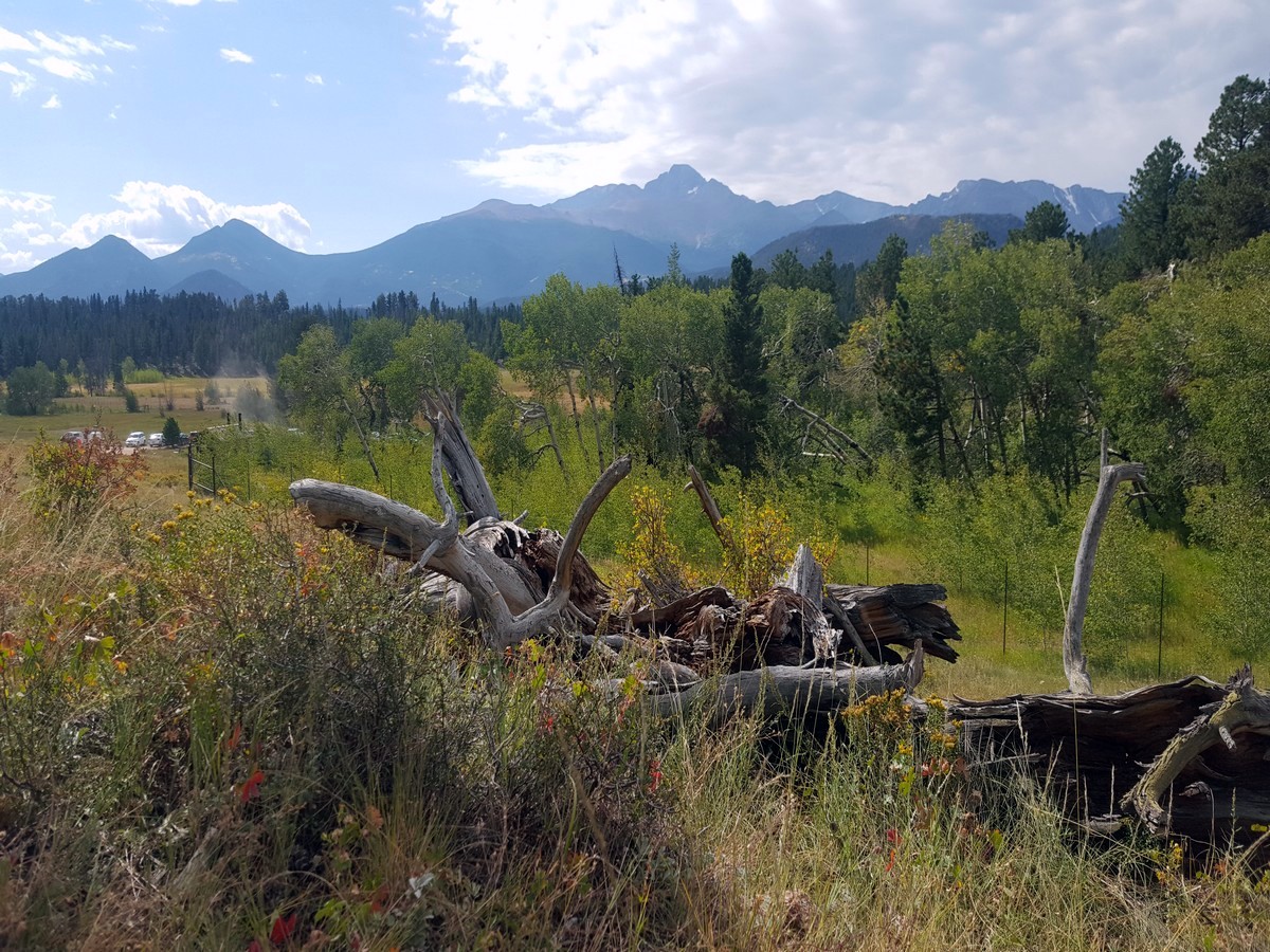 Panorama from the Beaver Meadows Loop Hike in Rocky Mountain National Park, Colorado