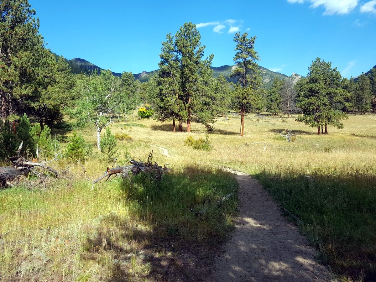 Looking from the Beaver Meadows Loop Hike in Rocky Mountain National Park, Colorado