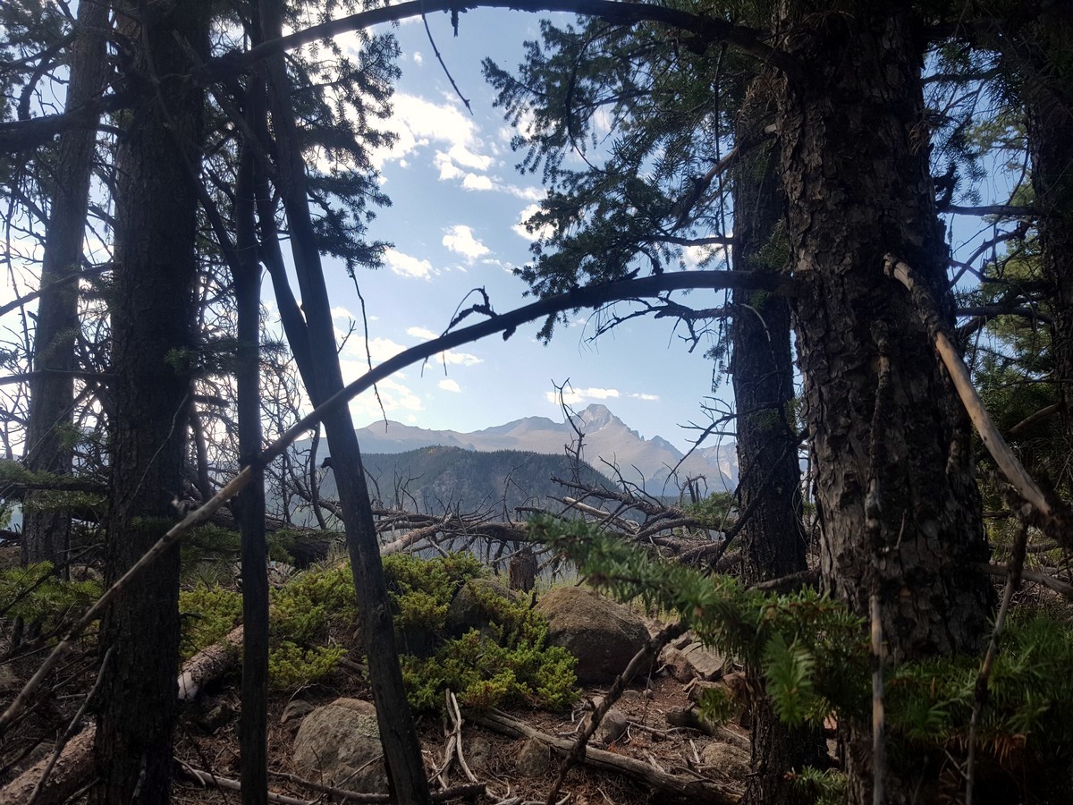 Beaver Meadows Loop Hike in Rocky Mountain National Park has beautiful views of Longs Peak