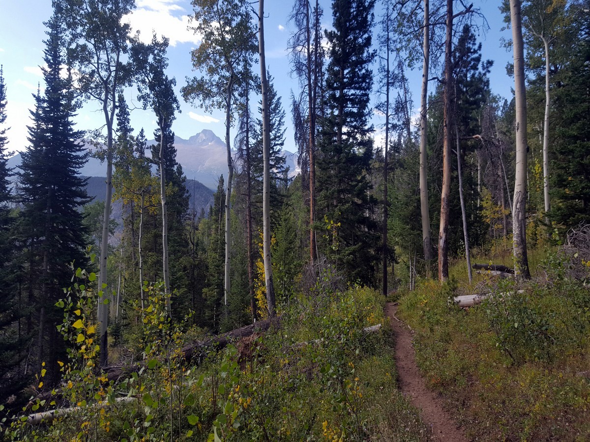 Trail peaks from the Beaver Meadows Loop Hike in Rocky Mountain National Park, Colorado