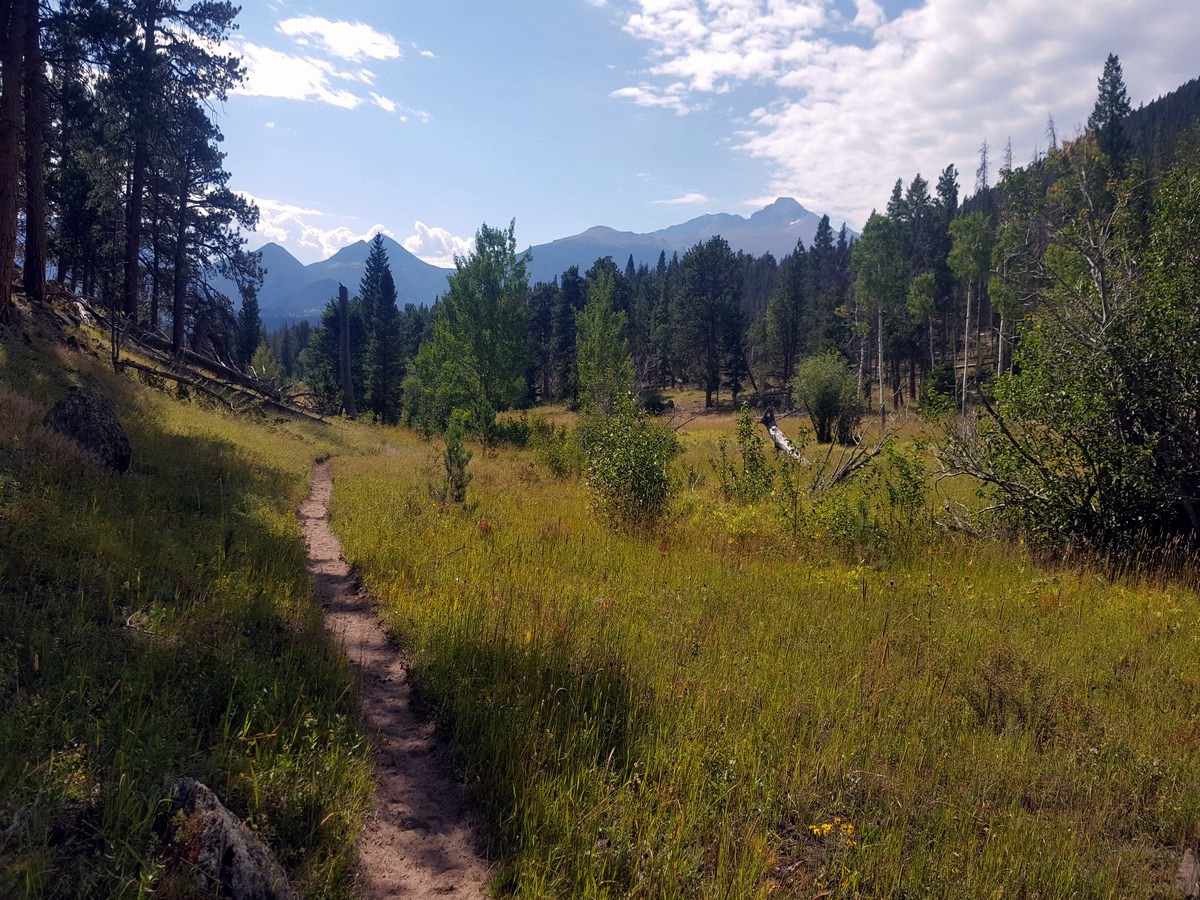 End of the Beaver Meadows Loop Hike in Rocky Mountain National Park, Colorado