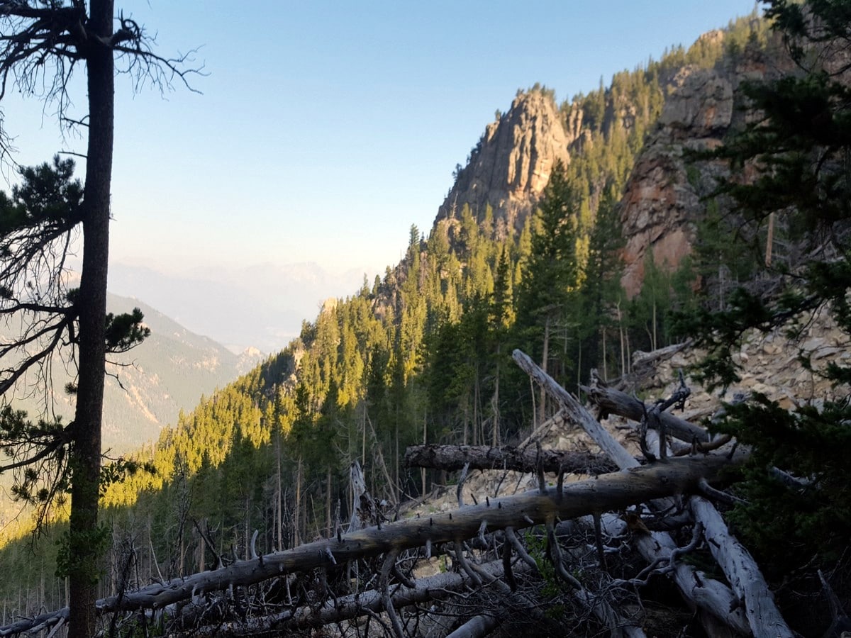 View across the slide zone from the Twin Sisters Peak Trail Hike in Rocky Mountain National Park, Colorado