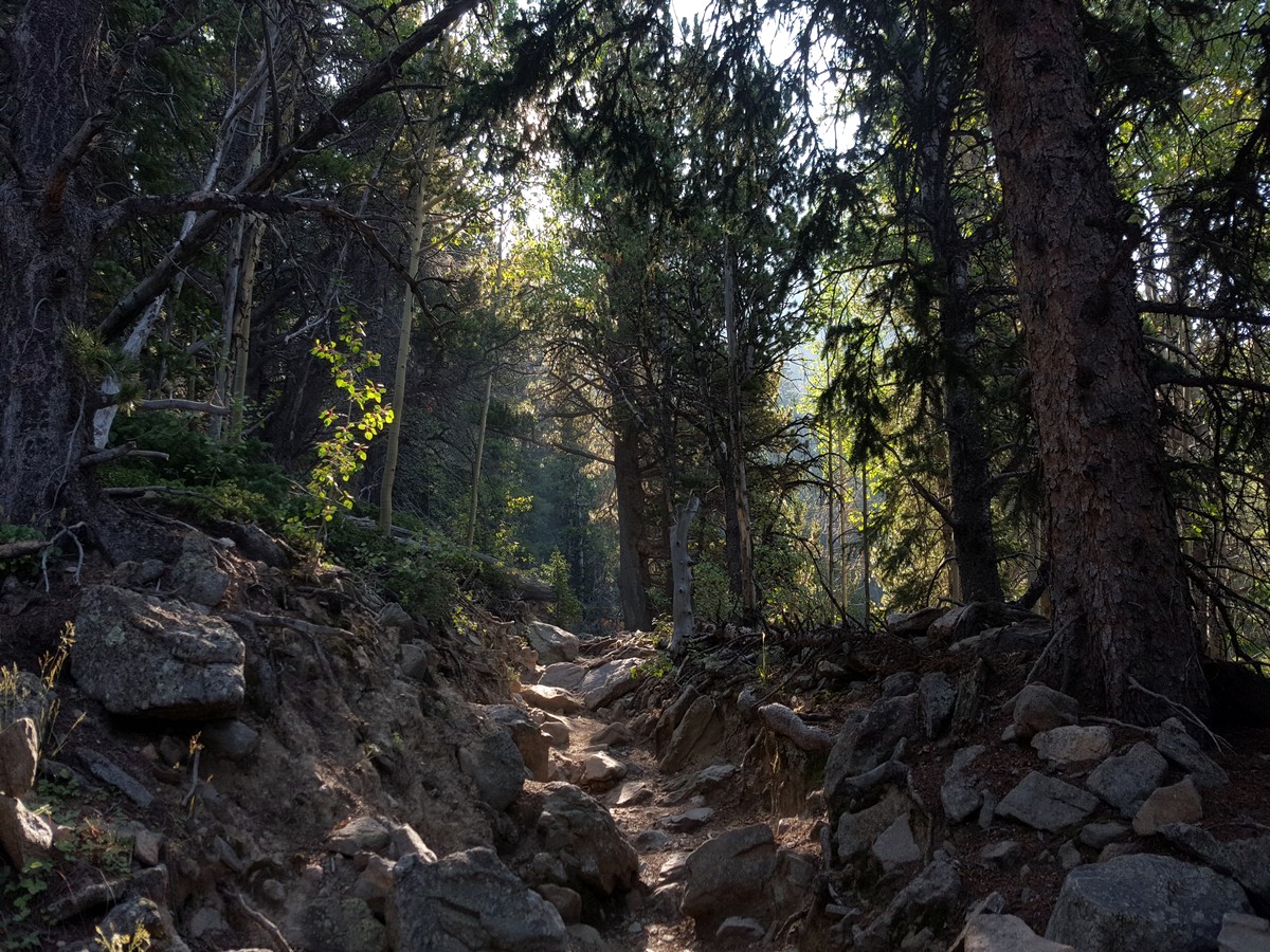 Twin Sisters Peak Trail Hike in Rocky Mountain National Park, Colorado