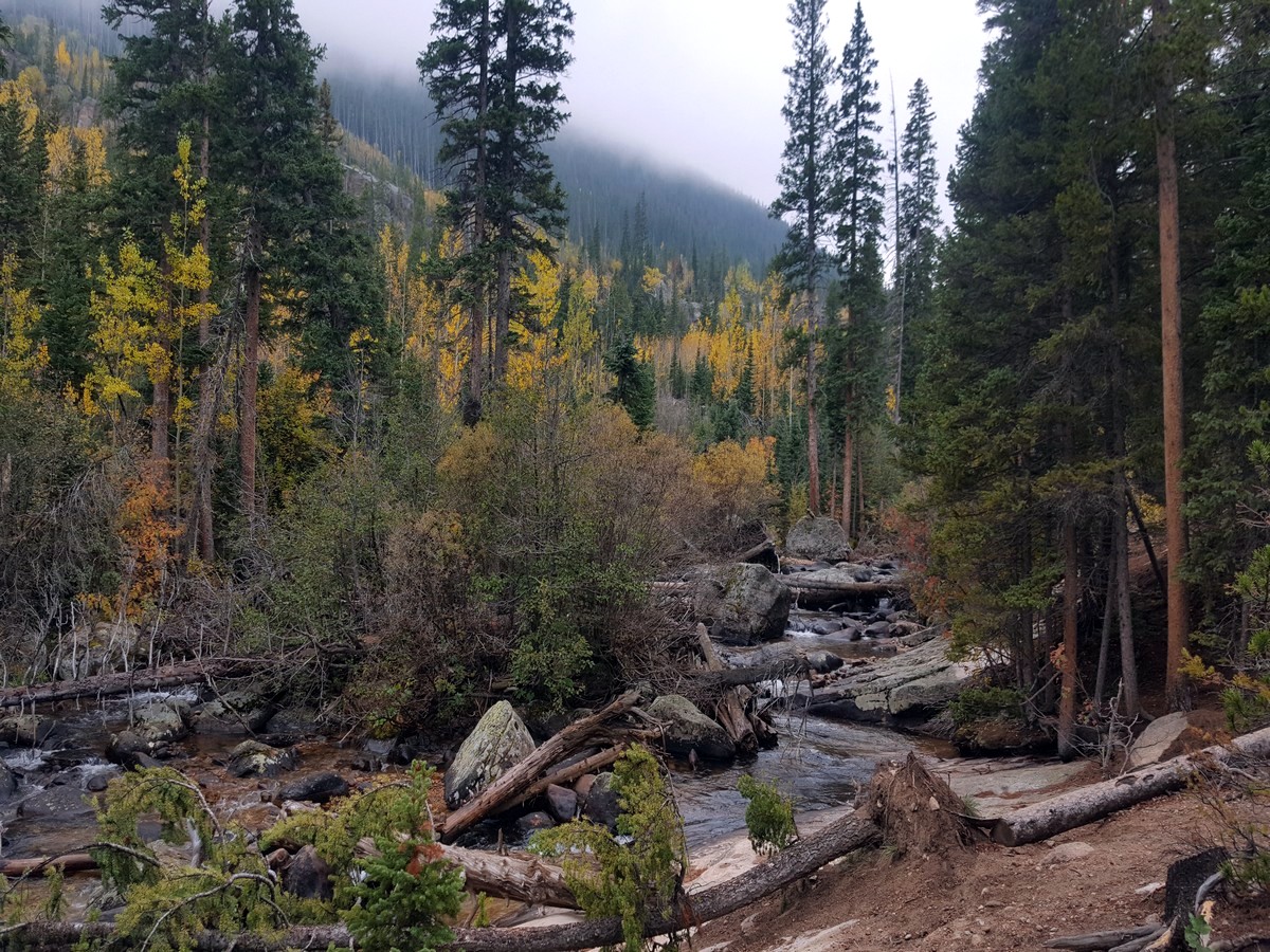 River on the Ouzel Falls Hike in the Rocky Mountain National Park, Colorado