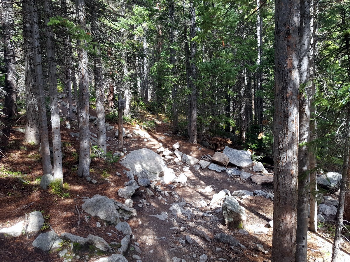 Woods on the Flattop Summit and Hallett Peak Hike in the Rocky Mountain National Park, Colorado