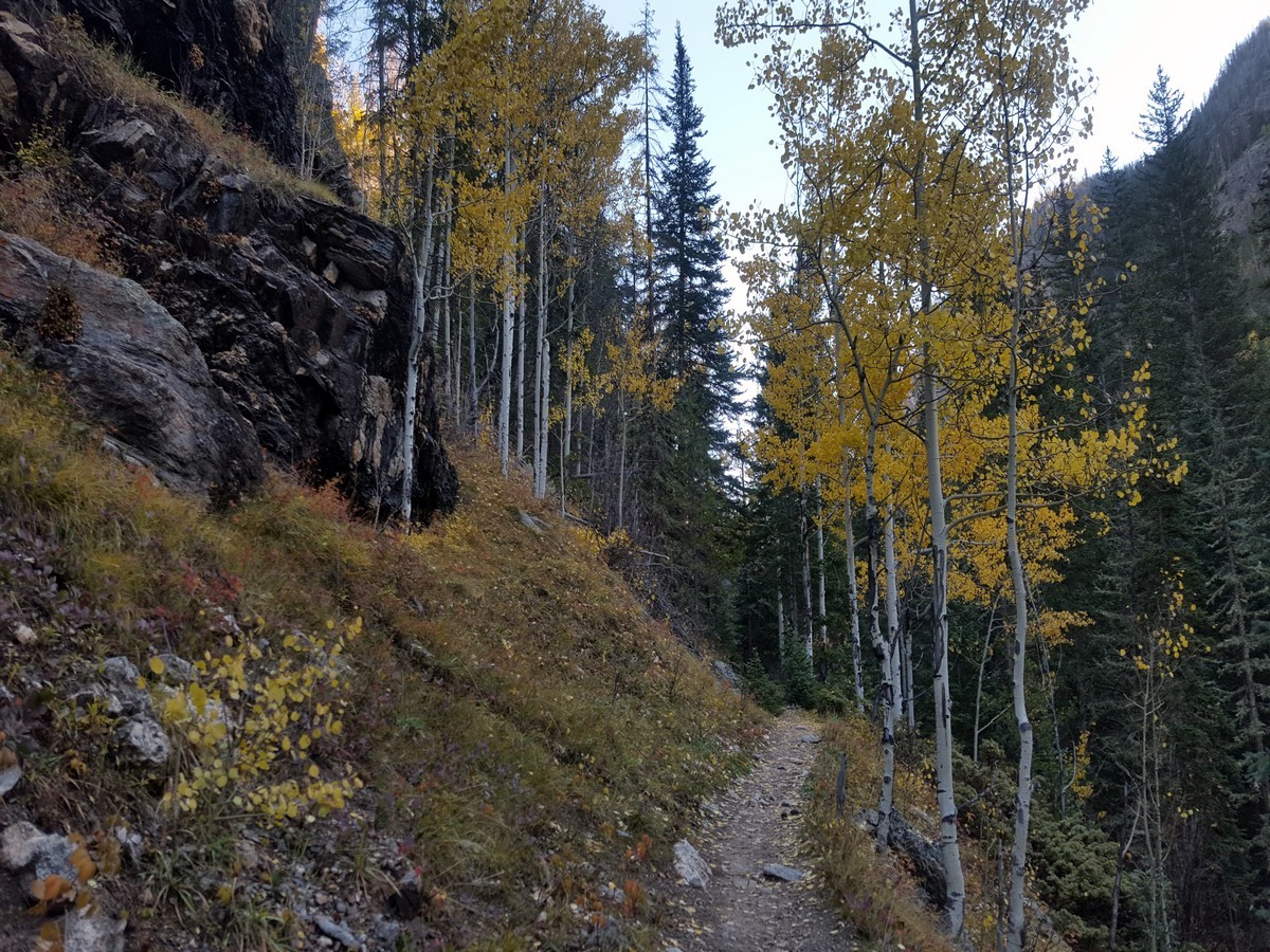 Middle of the Cascade Falls Hike in the Rocky Mountain National Park, Colorado