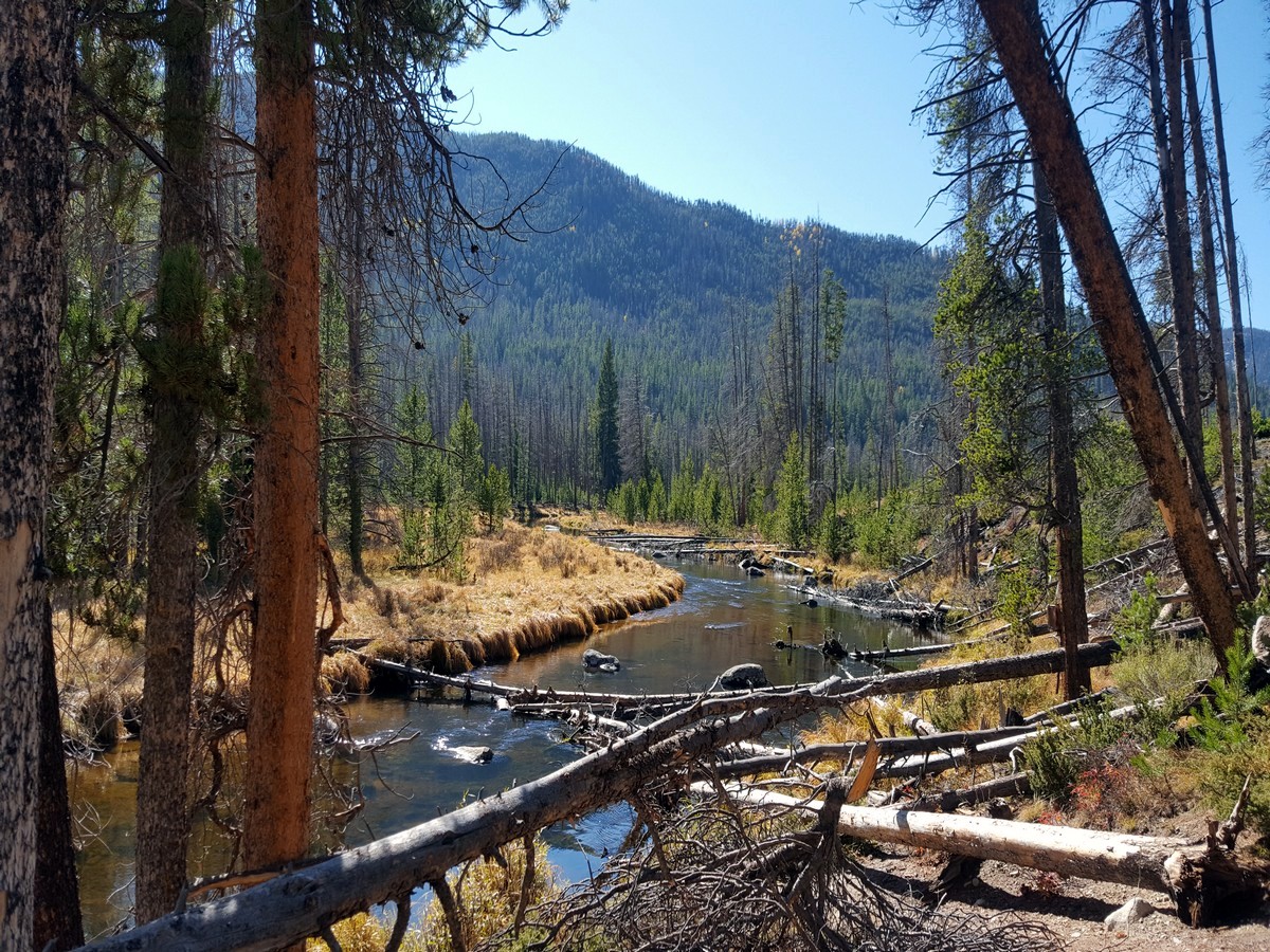 View from the Cascade Falls Hike in the Rocky Mountain National Park, Colorado