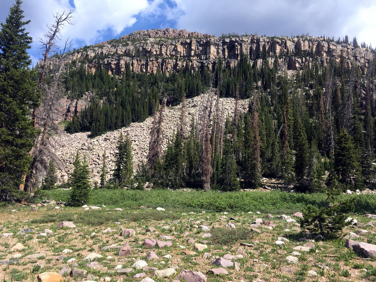 Slopes of Mt Agassiz as seen from Natural Basin trail in Uinta Mountains, Utah