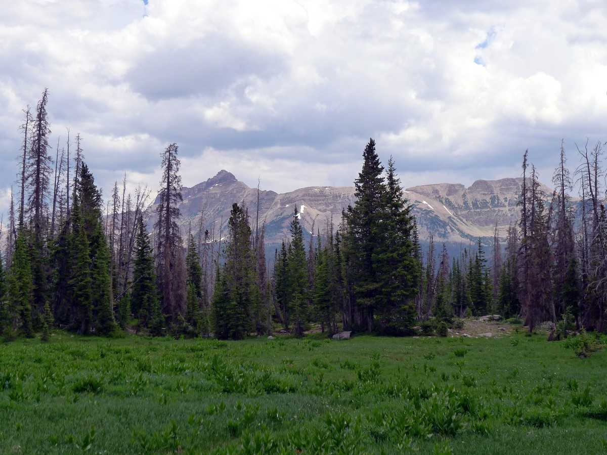 Looking across the meadows towards Mt Agassiz on the Fehr Lake hike in the Uinta Mountains, Utah