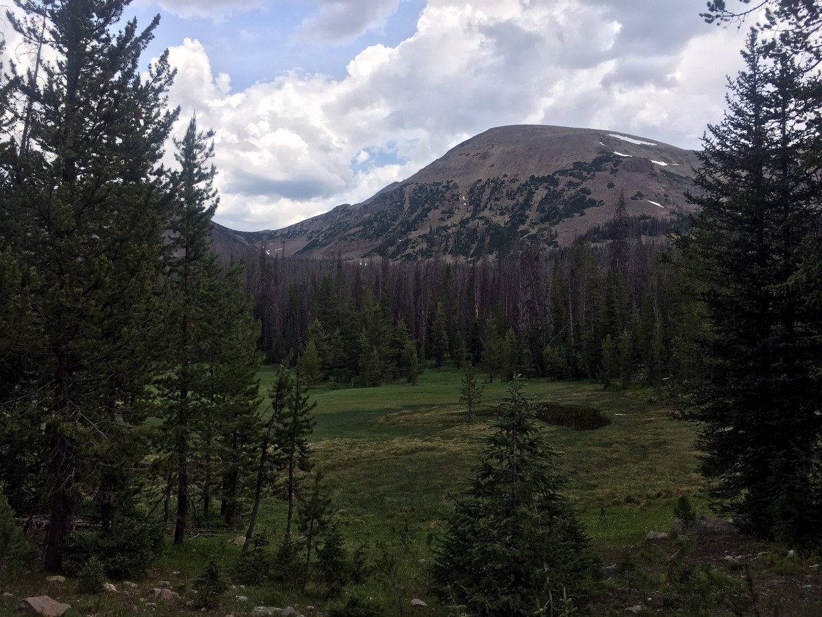Looking up to a flank of Mt Agassiz on the Wilder and Packard Lake hike in the Uinta Mountains, Utah