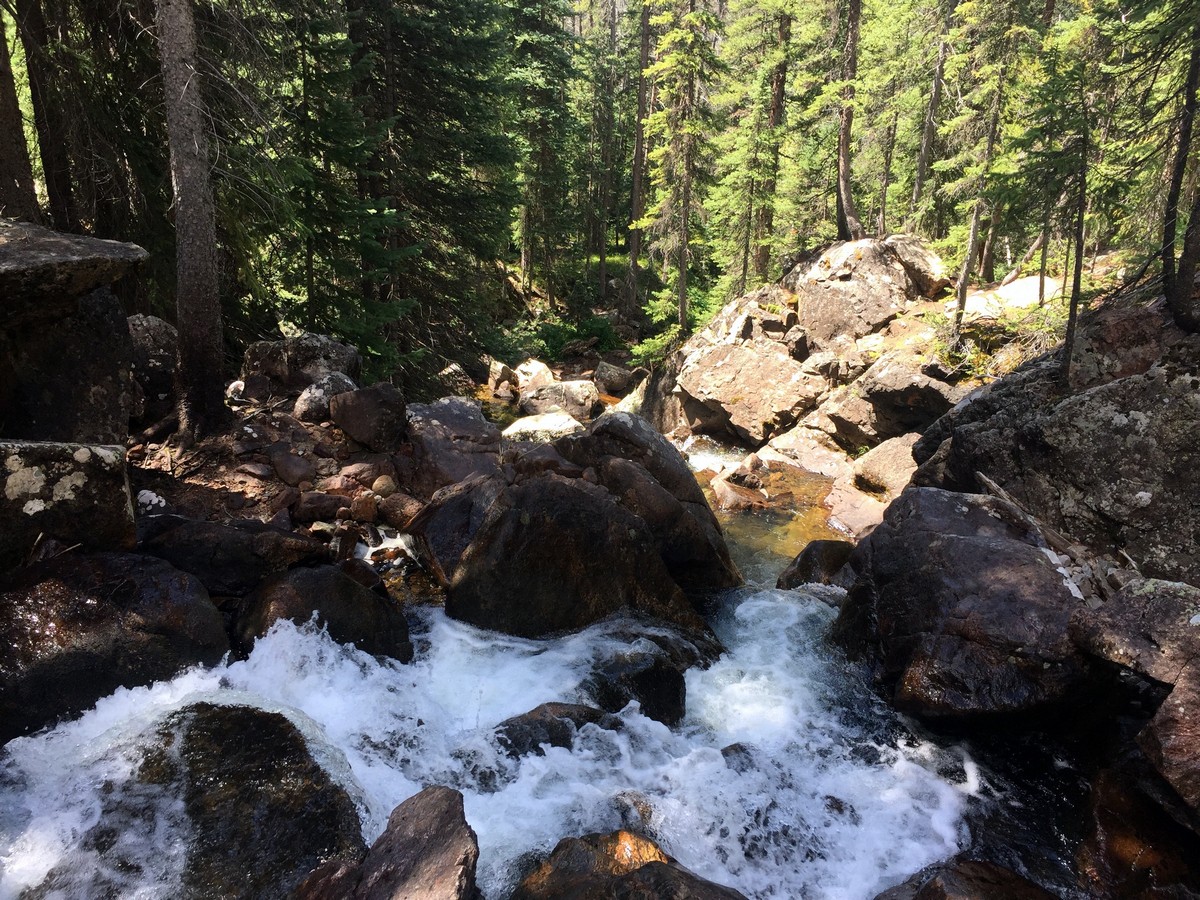 View of the creek of the Upper Piney River Falls Trail Hike near Vail, Colorado