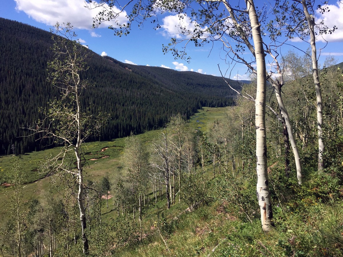 View hiking out of the valley on the Upper Piney River Falls Trail Hike near Vail, Colorado