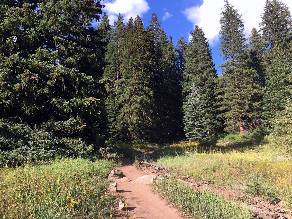 View hiking up the valley on the Booth Falls Trail Hike near Vail, Colorado