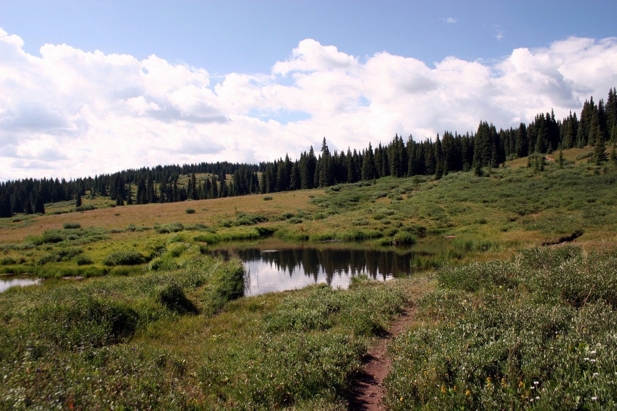 View of the large pond on the Shrine Ridge Trail Hike near Vail, Colorado