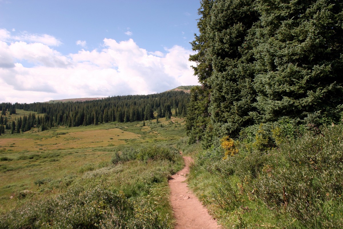 Looking upon the Shrine Ridge Trail Hike near Vail, Colorado