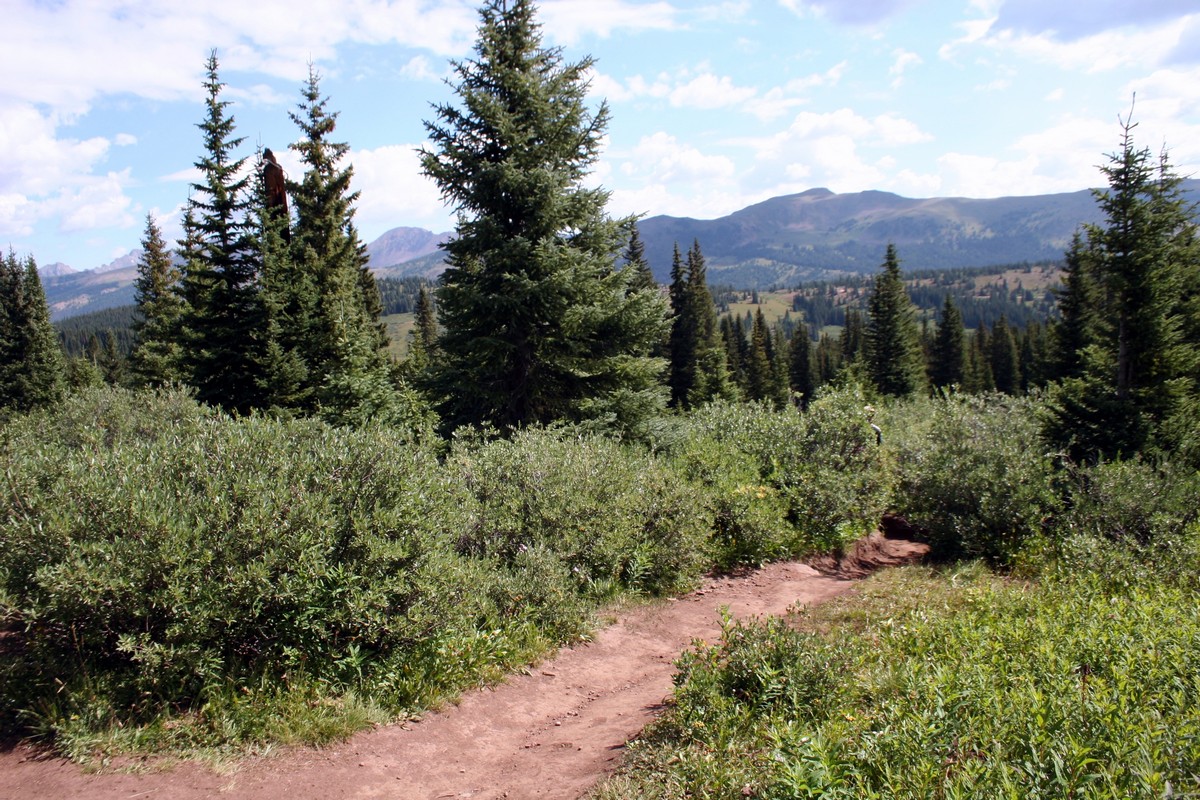 Views around the Shrine Ridge Trail Hike near Vail, Colorado