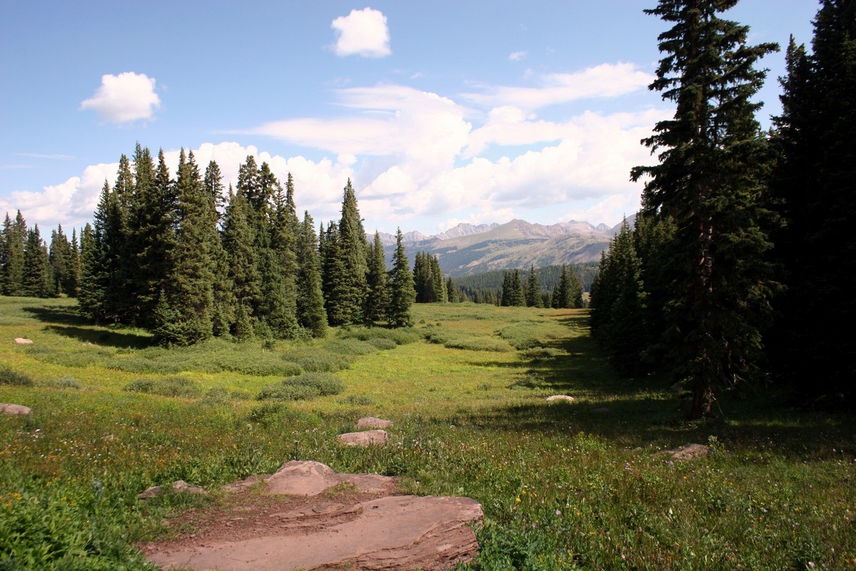 View to the right of the Shrine Ridge Trail Hike near Vail, Colorado