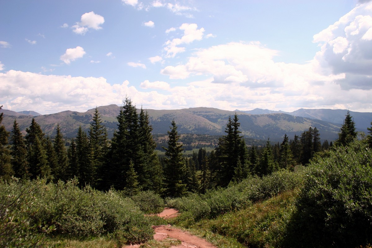 View before reaching the ridge of the Shrine Ridge Trail Hike near Vail, Colorado