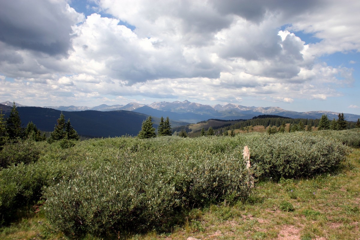 View looking west of the Shrine Ridge Trail Hike near Vail, Colorado