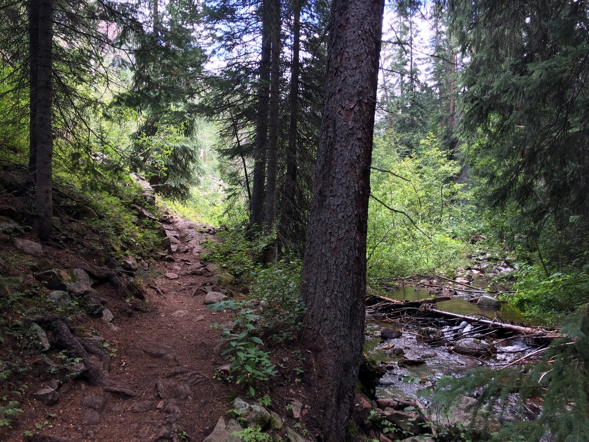 Next to the creek on the Gore Lake Trail Hike near Vail, Colorado