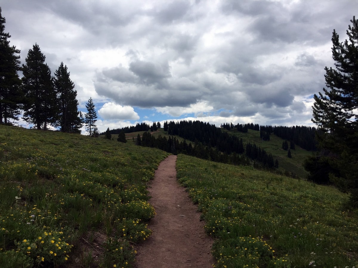 Views of the Ridge Route Hike near Vail, Colorado