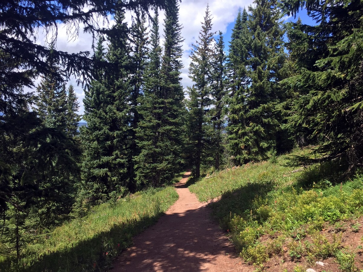 Trail of the Ridge Route Hike near Vail, Colorado